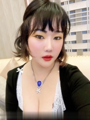 杭州发情小母猫