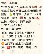 武汉小懒猫