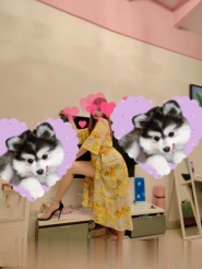 石家庄长腿骚货