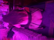 后入肥臀妃妃