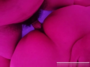 广州东北小骚货