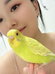 半套浅浅