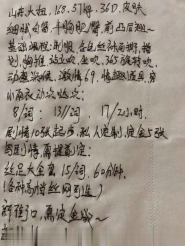 新街口大猫